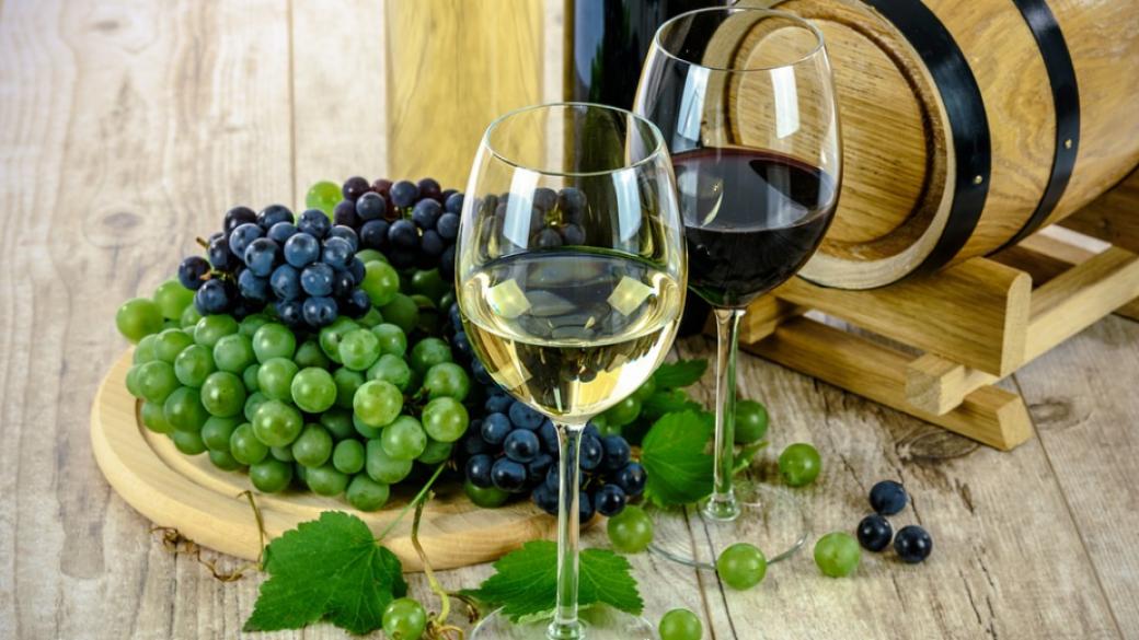 Над 300 вина и ракии се състезават на „Винария“ 2018