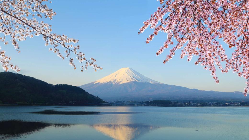 Японски предприемач събаря новата си сграда заради гледка към планината